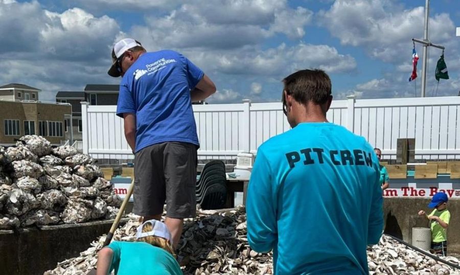 Volunteers cleaned and bagged shells, which will be used in upwells to create habitats for oysters and clams.